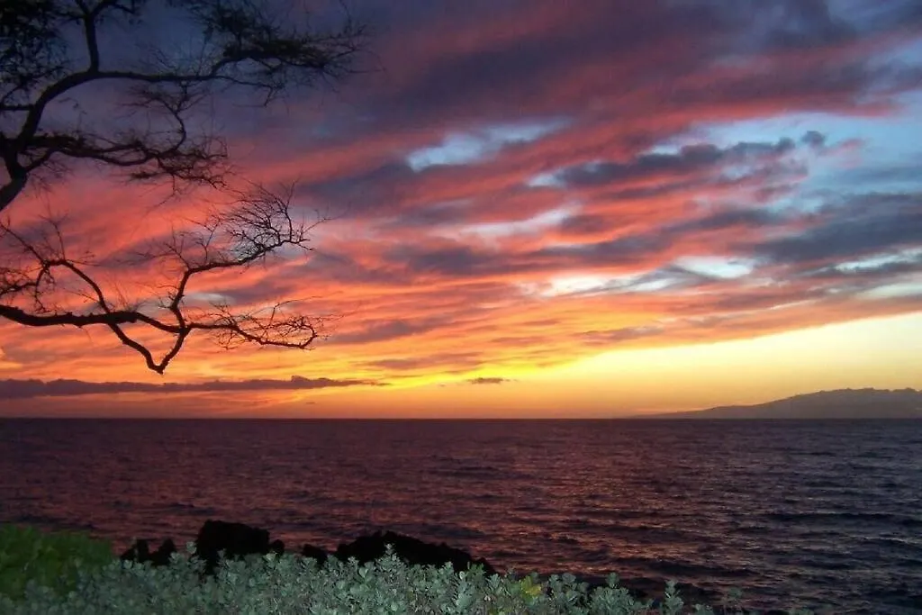 Appartement Maui Condo, 5 Minute Walk To The Beach, 3 Pools, Tennis Courts, Bbqs Kihei États-Unis