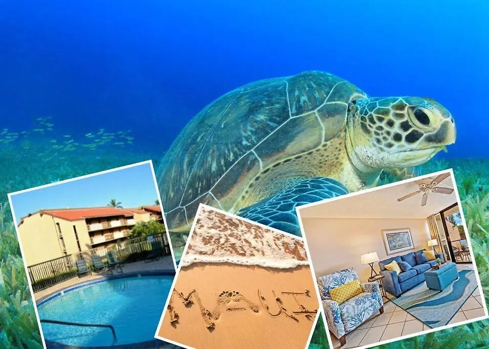 Appartement Maui Condo, 5 Minute Walk To The Beach, 3 Pools, Tennis Courts, Bbqs Kihei