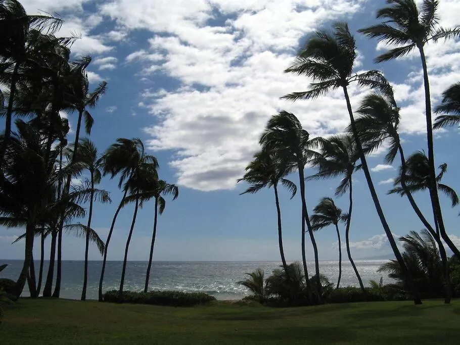 Maui Condo, 5 Minute Walk To The Beach, 3 Pools, Tennis Courts, Bbqs Kihei Appartement
